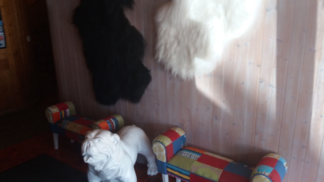 Photo of Others in Fiesch