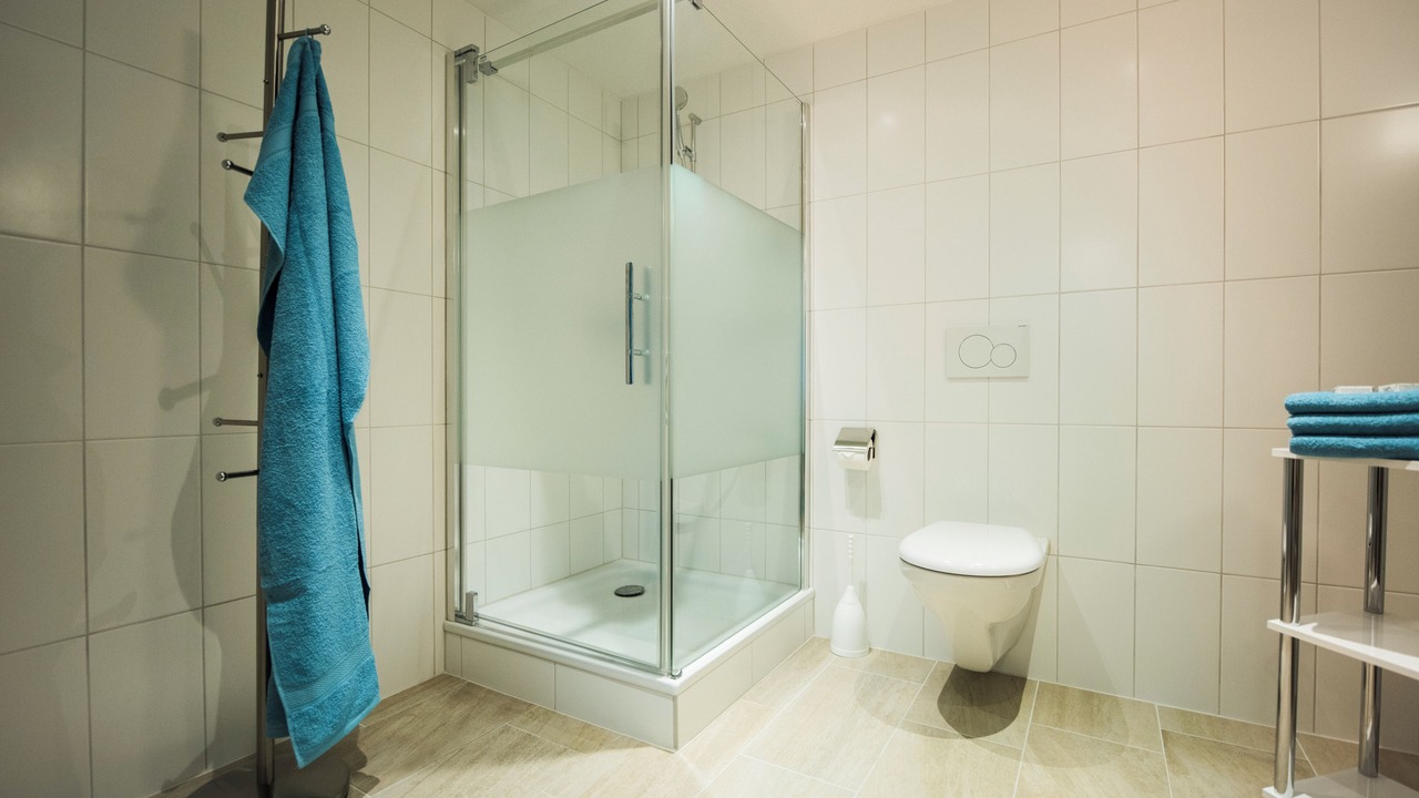 Photo of Bathroom in Brienz