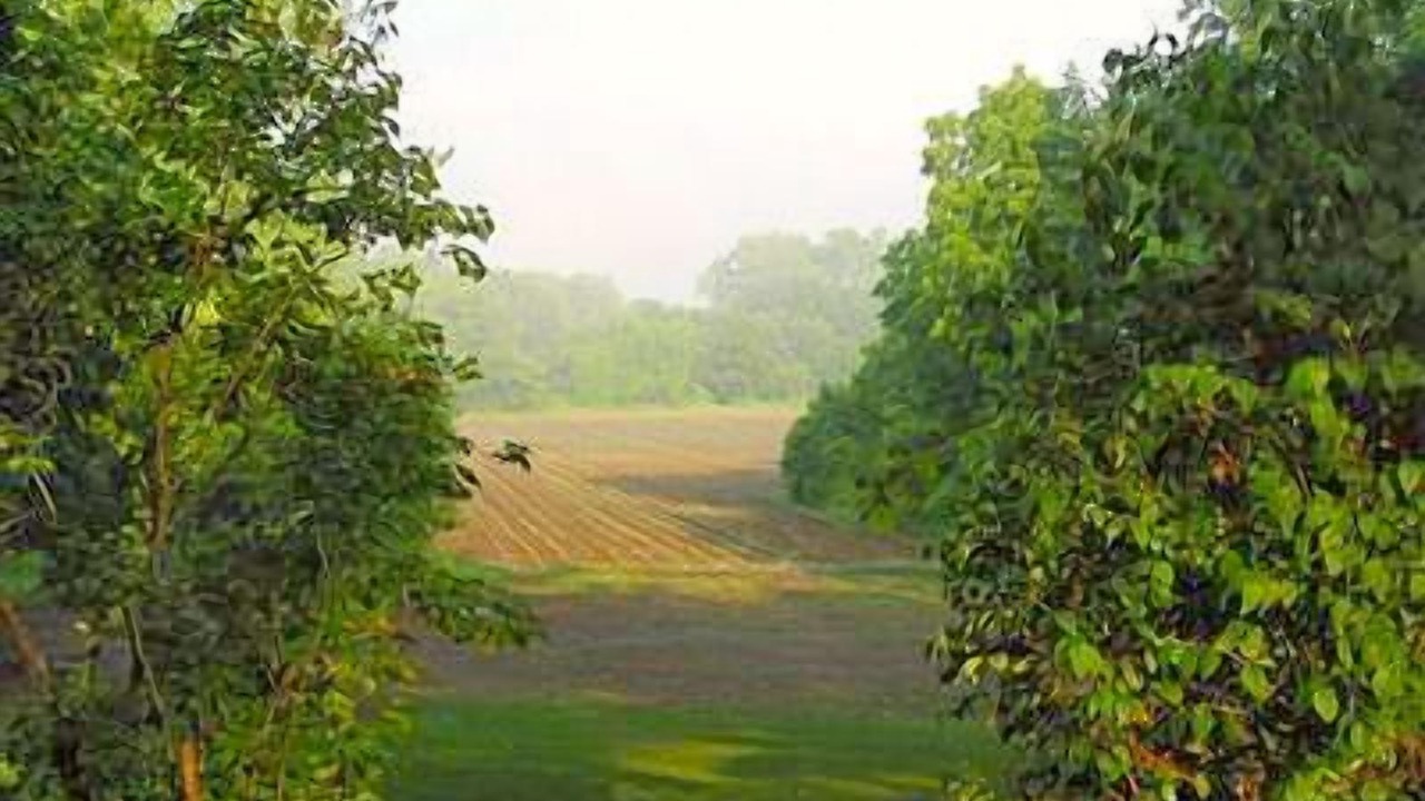 Photo of Outdoor in South Glastonbury