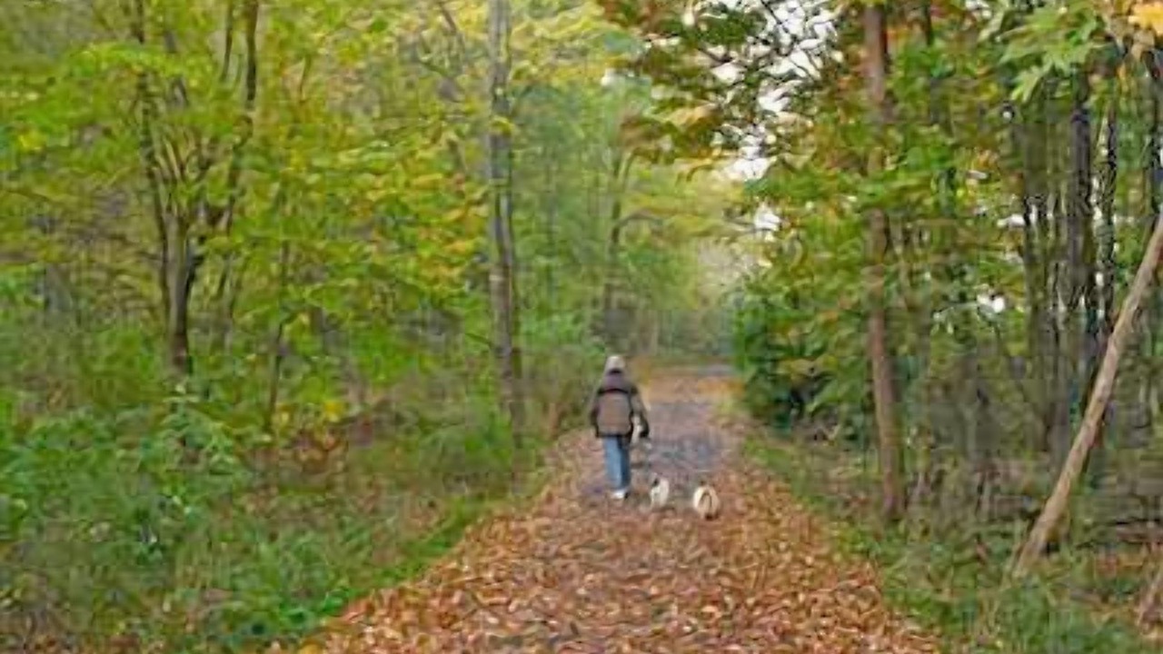 Photo of Outdoor in South Glastonbury