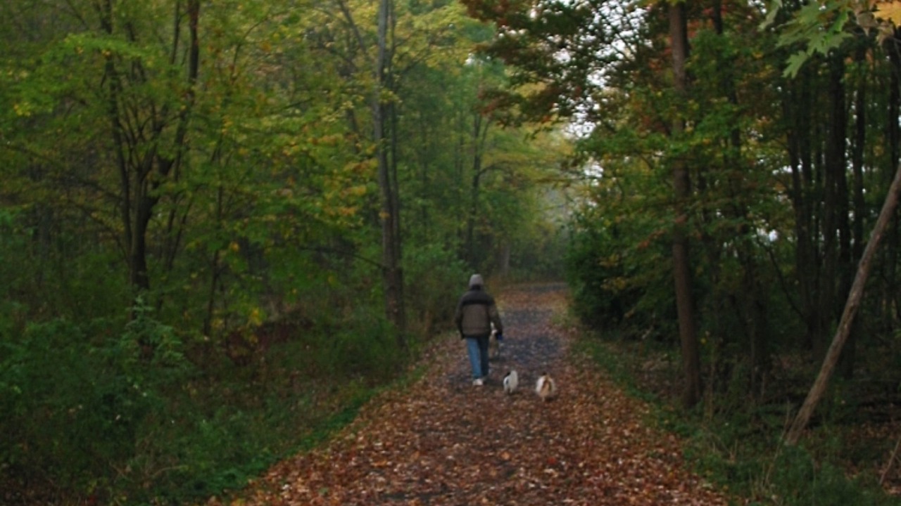 Photo of Others in South Glastonbury
