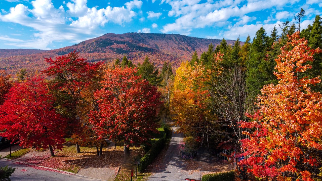 Photo of Outdoor in Beaupre