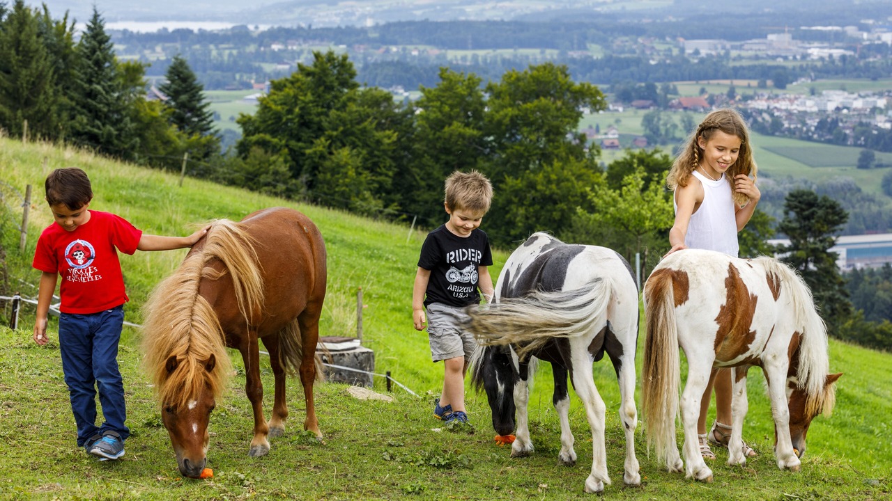 Photo of Others in Kriens