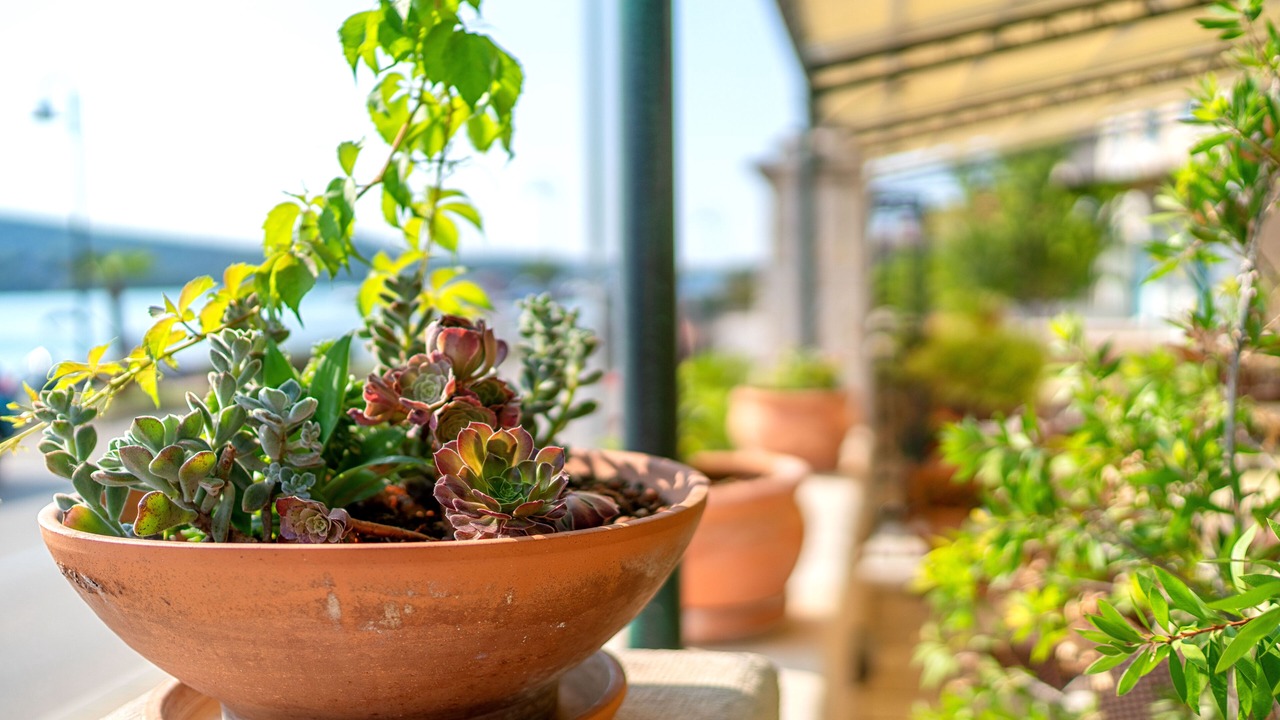 Photo of Patio Balcony in Tijesno