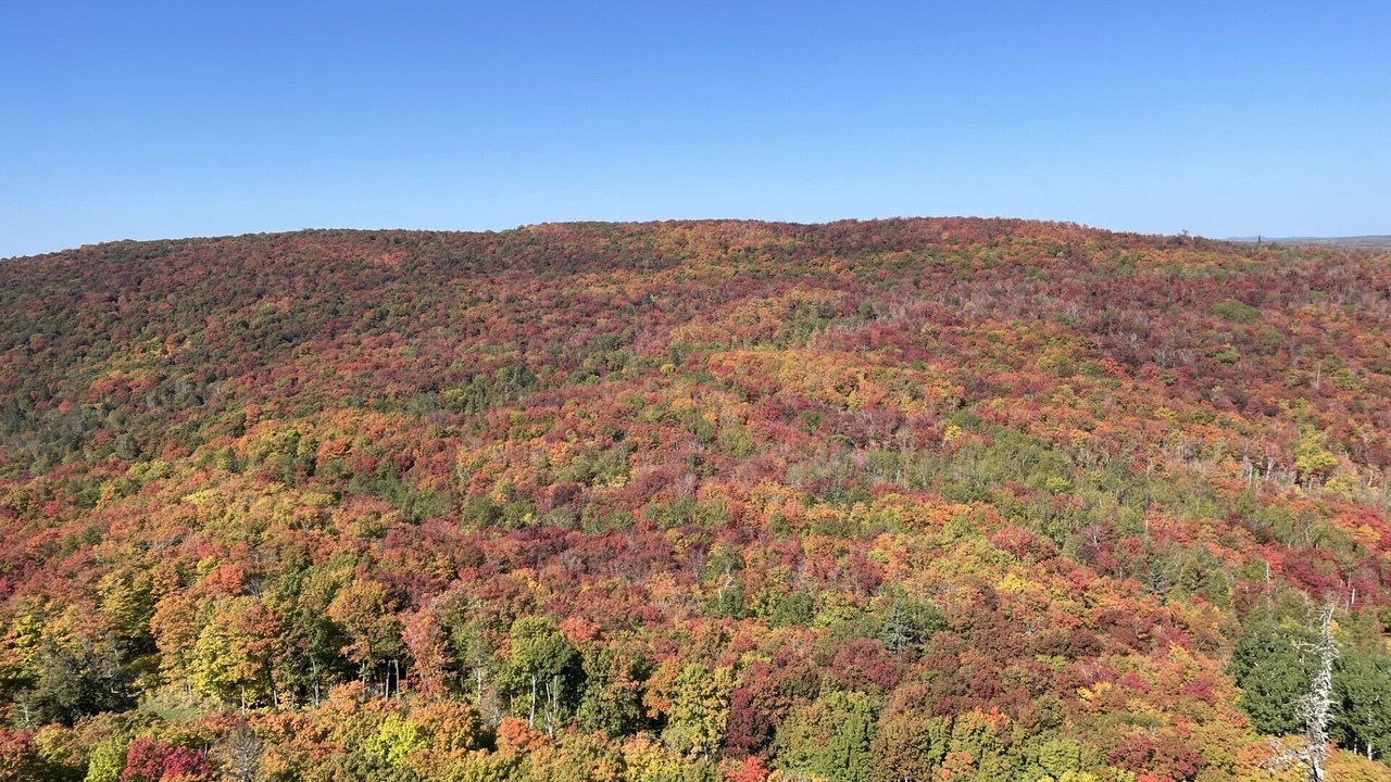 Photo of Others in Lutsen
