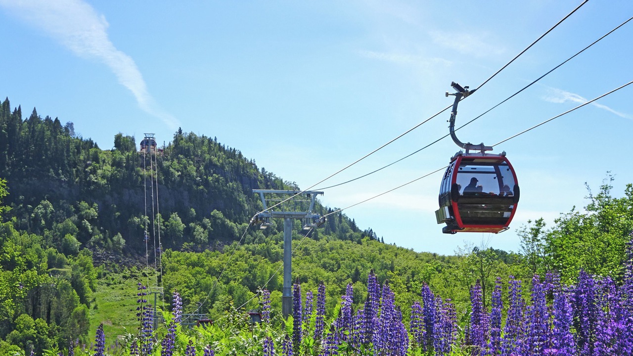 Photo of Others in Lutsen