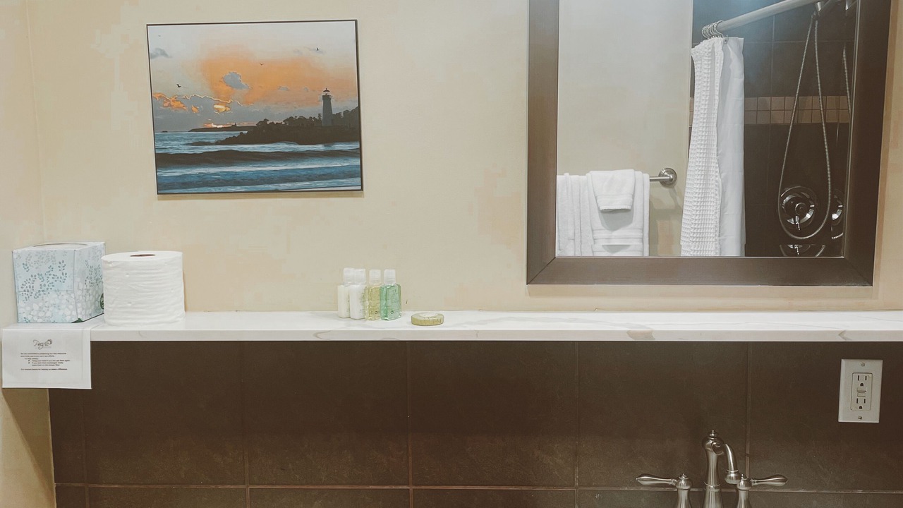 Photo of Bathroom in Downtown Santa Cruz