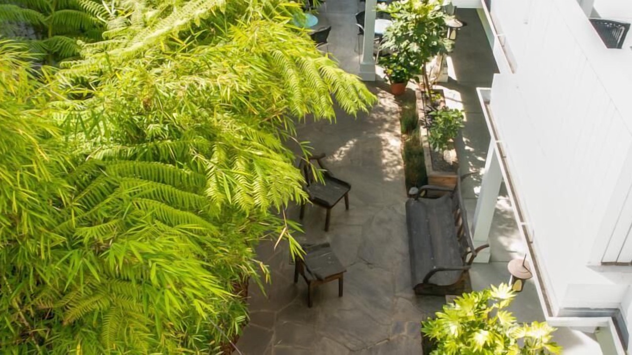 Photo of Outdoor in Downtown Santa Cruz