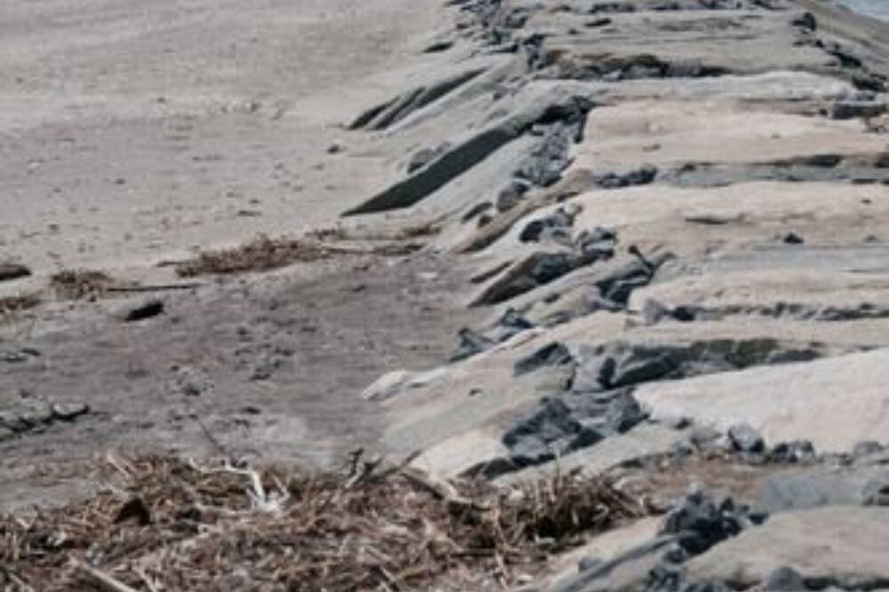 Photo of Others in Fairfield