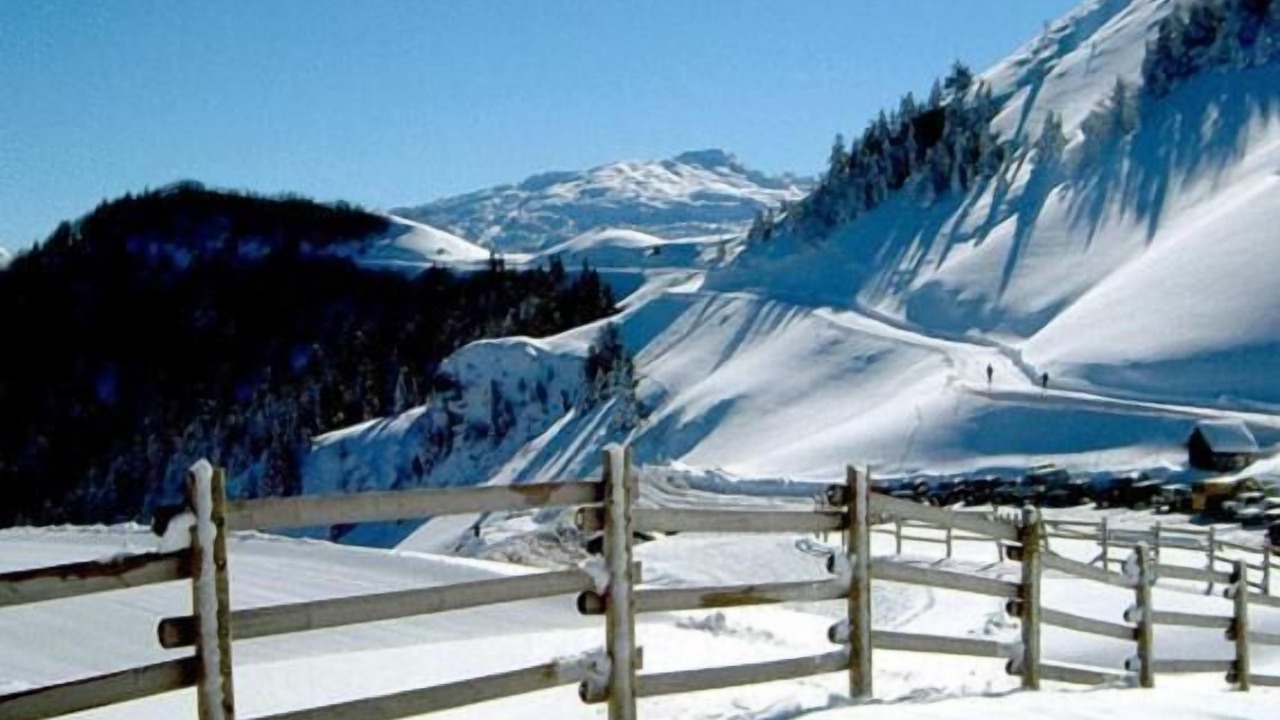 Photo of Others in Montory