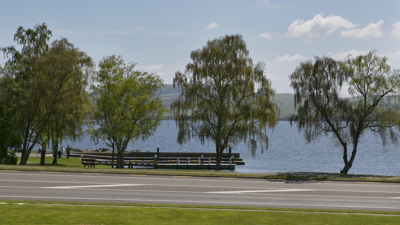 Photo of Others in Two Mile Bay