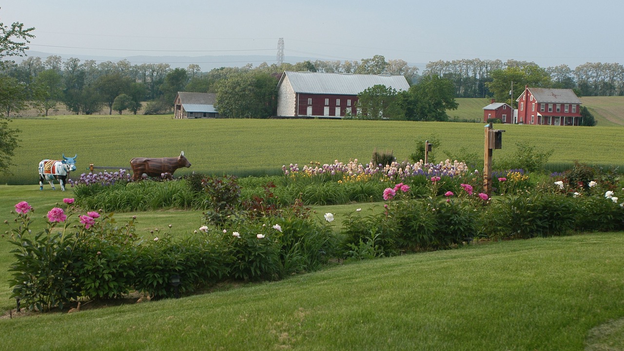 Photo of Outdoor in Annville