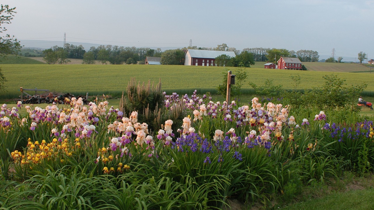 Photo of Outdoor in Annville