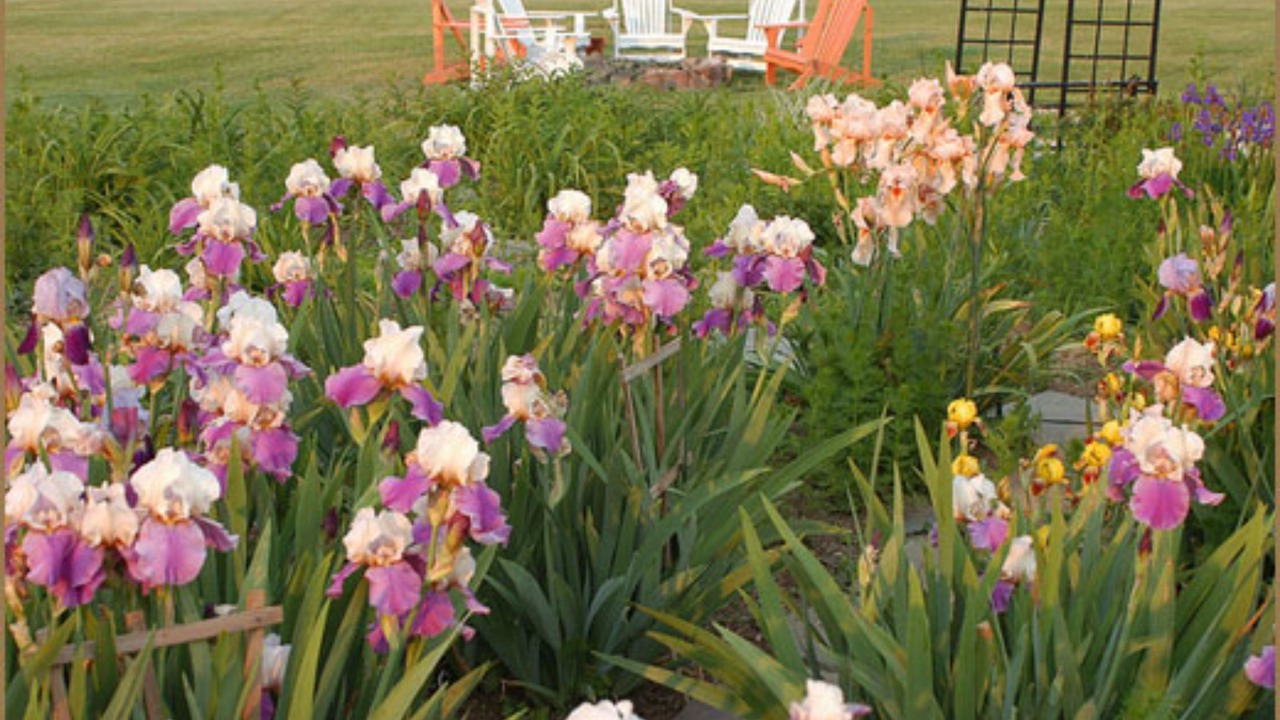 Photo of Outdoor in Annville