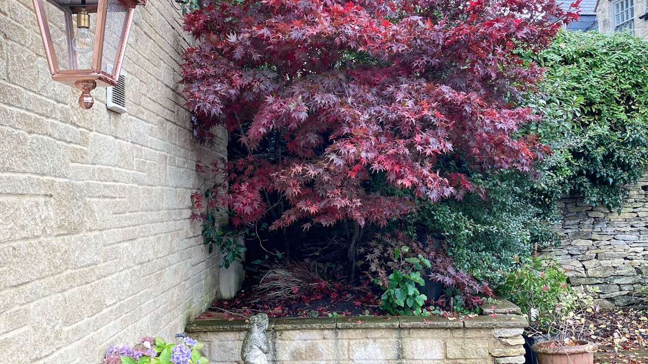 Photo of Outdoor in Burton