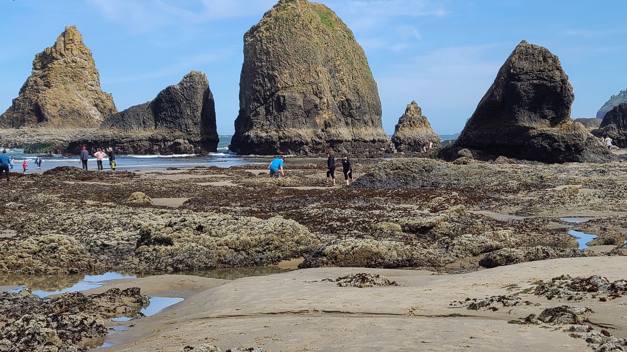 Photo of Others in Garibaldi