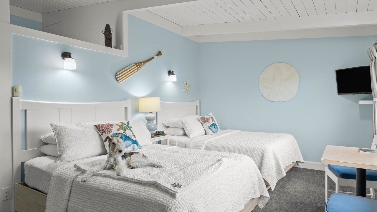 Photo of Others in Garibaldi