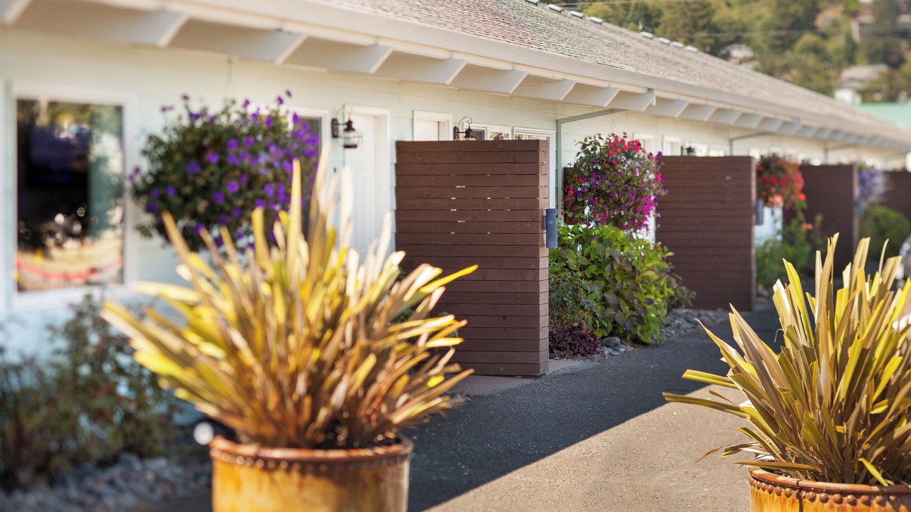 Photo of Outdoor in Garibaldi