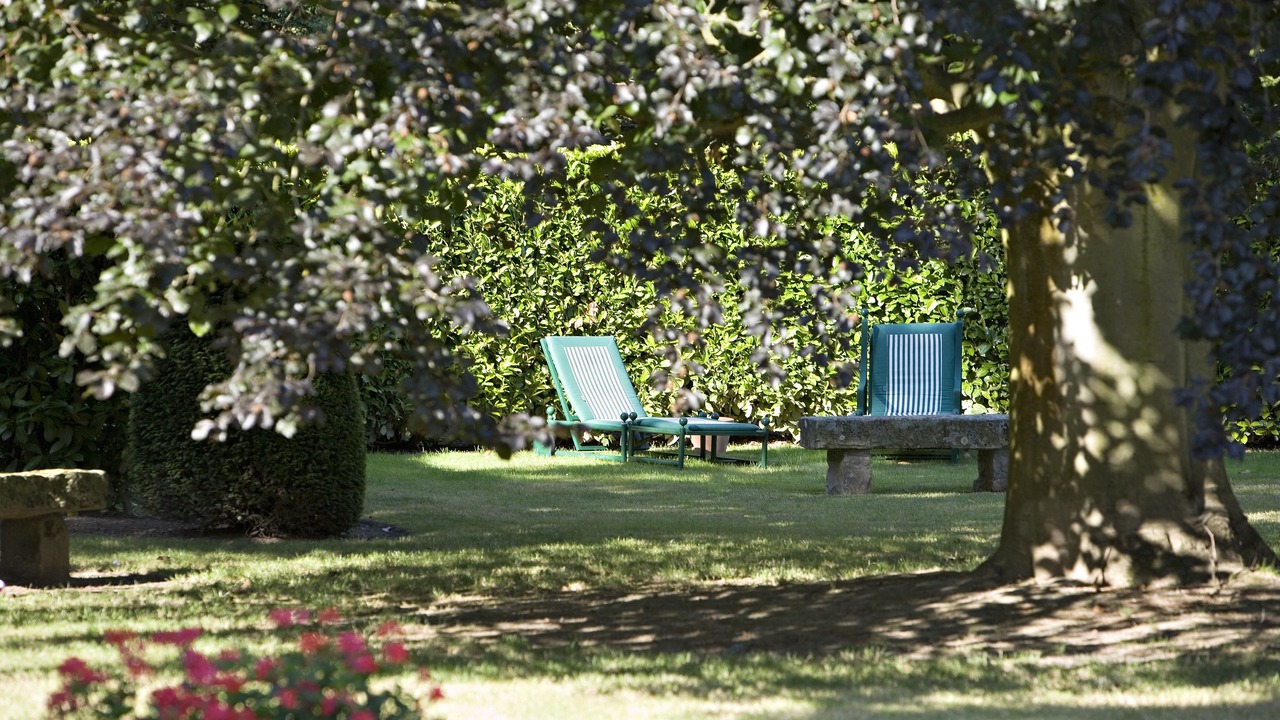 Photo of Outdoor in Barbizon