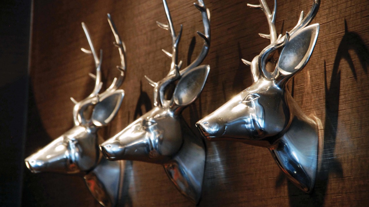 Photo of Outdoor in Eaglesham