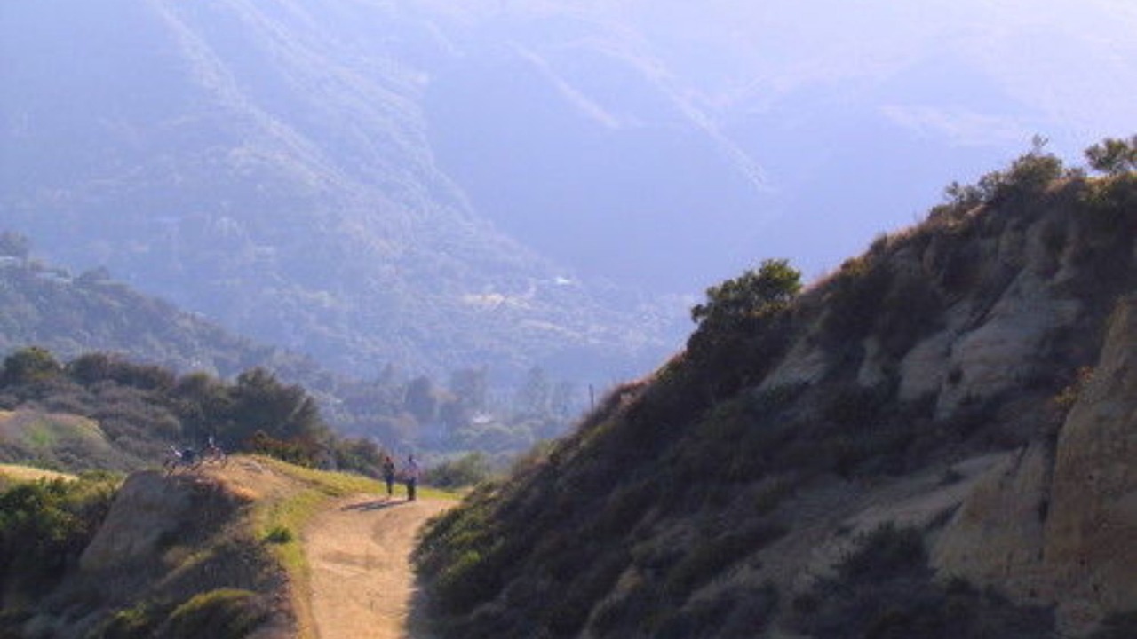 Photo of Outdoor in Sylvia Park
