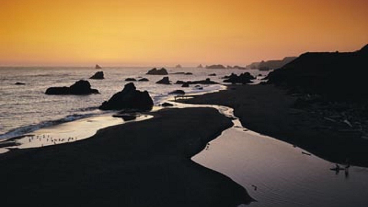 Photo of Others in Agate Beach