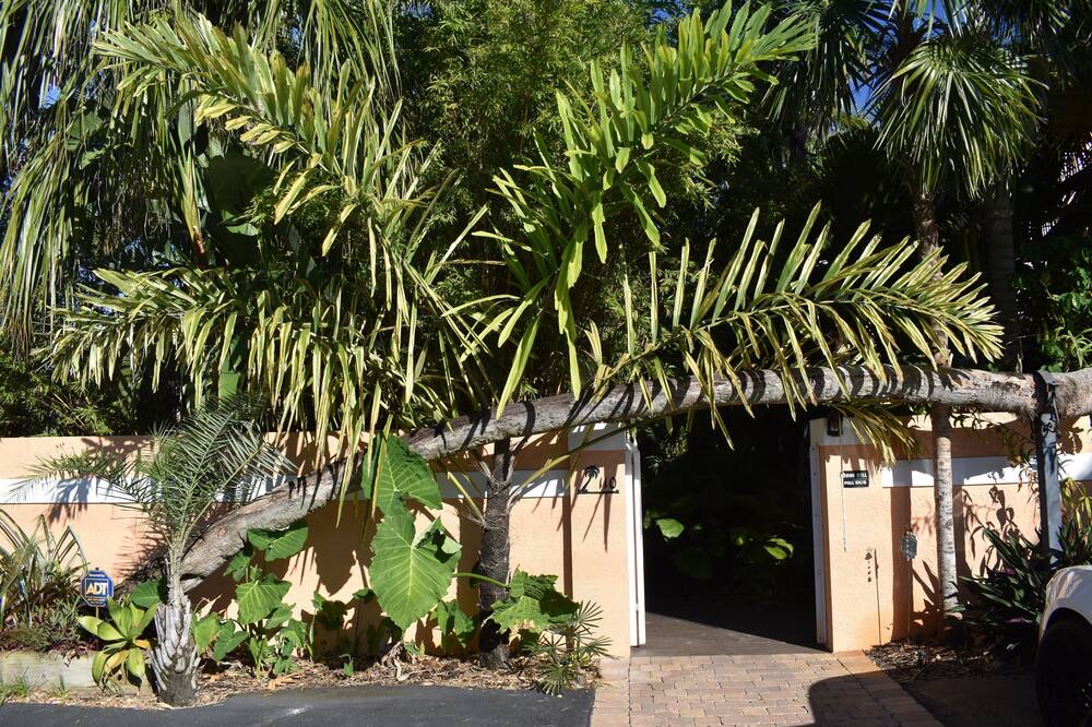 Photo of Others in Lake Worth Corridor