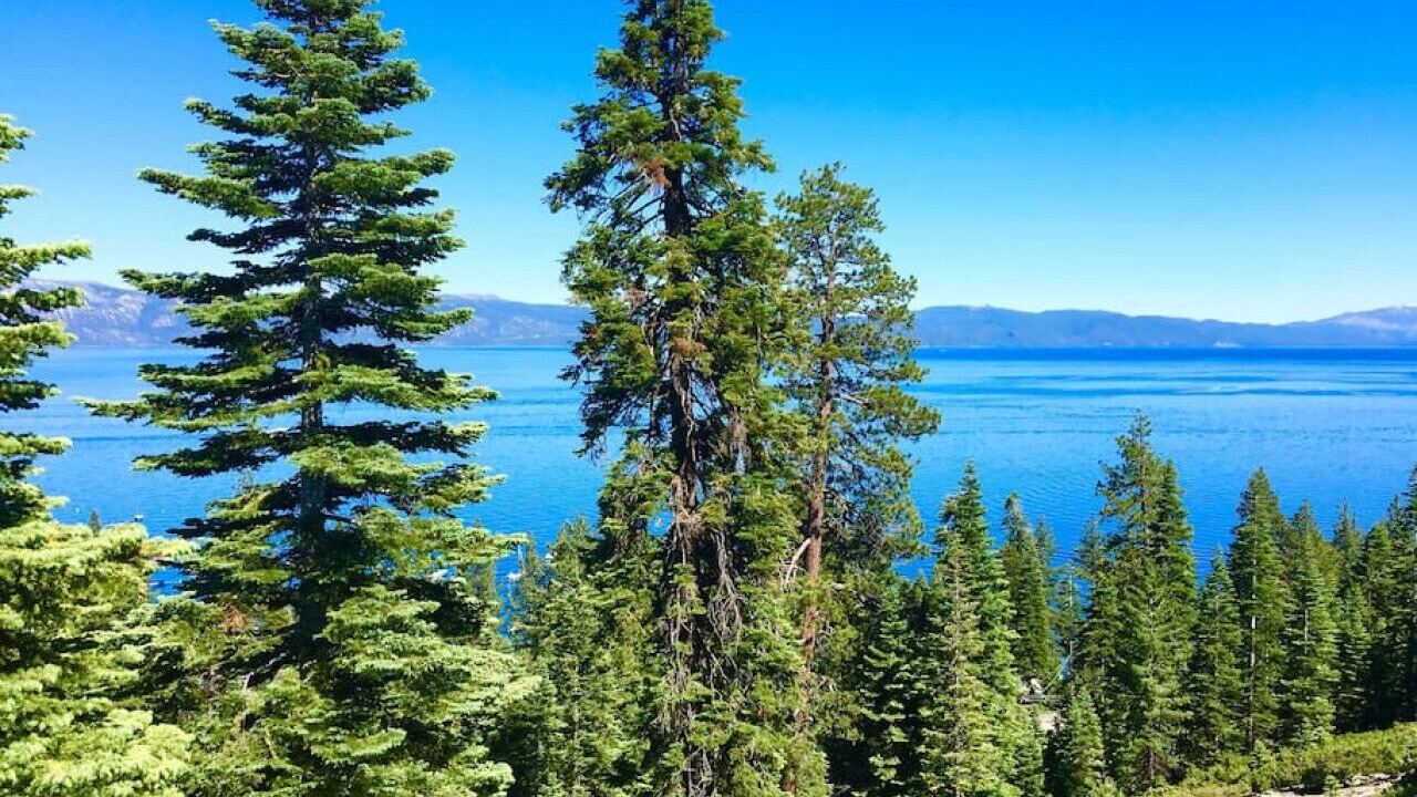 Photo of Outdoor in Carnelian Bay