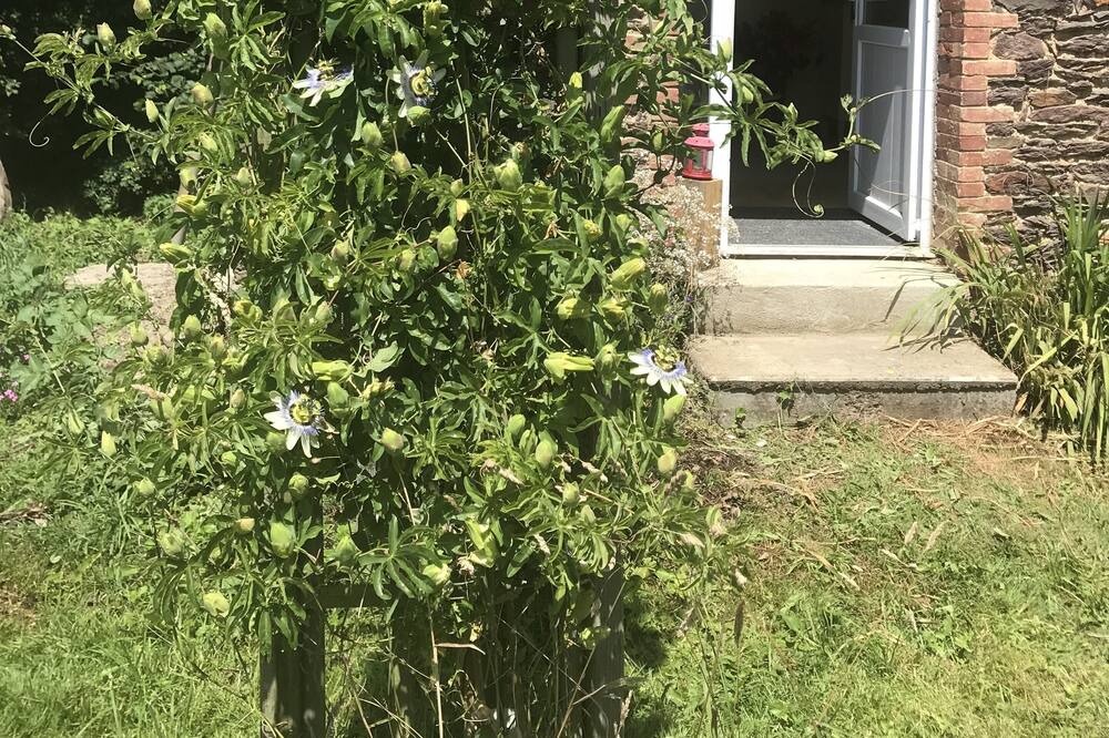Photo of Outdoor in Saint-Gonlay
