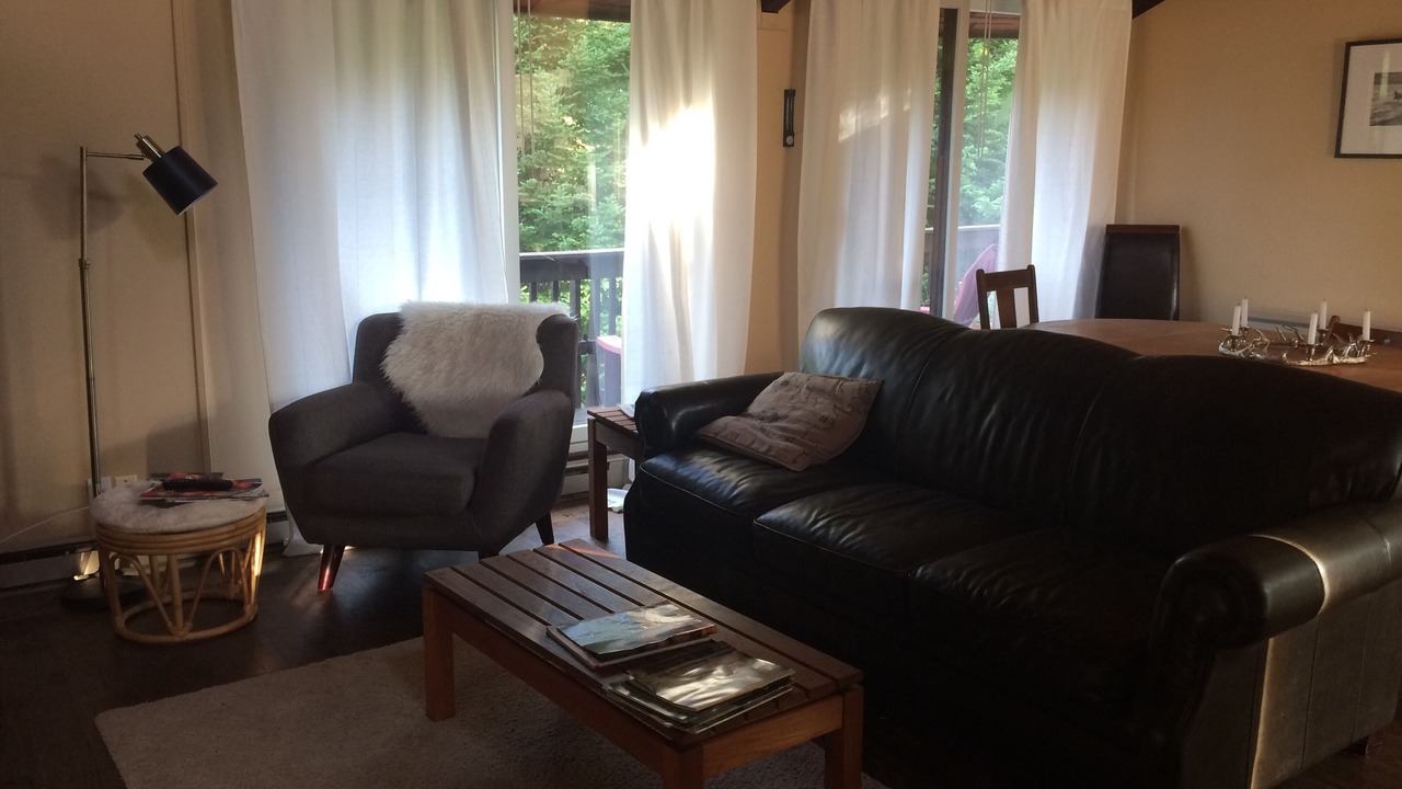 Photo of Livingroom in Manchester Center