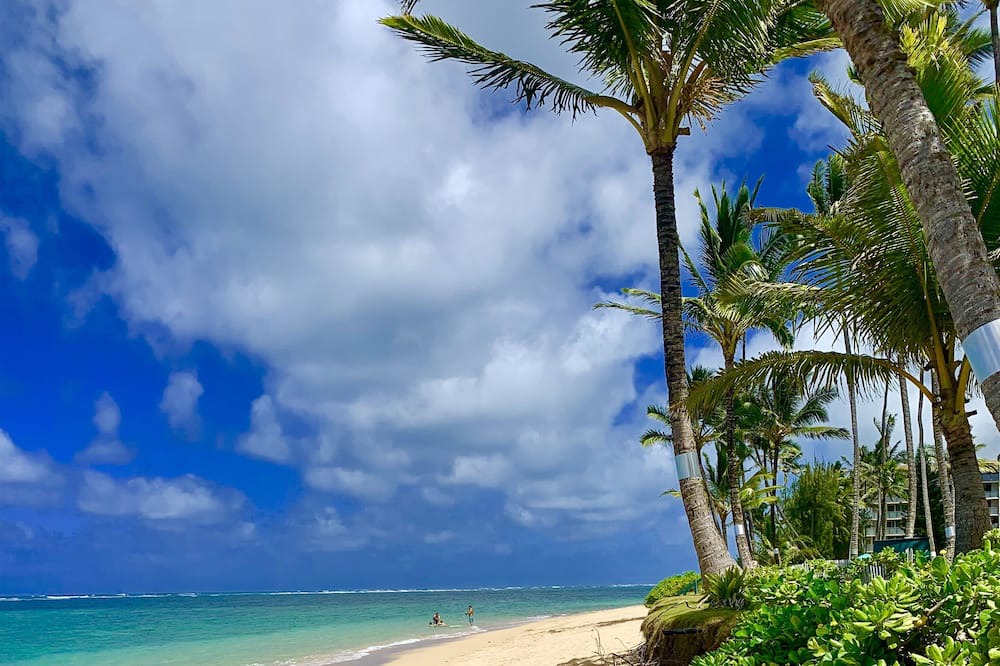 Photo of Others in Punaluu