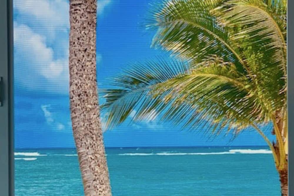 Photo of Outdoor in Punaluu