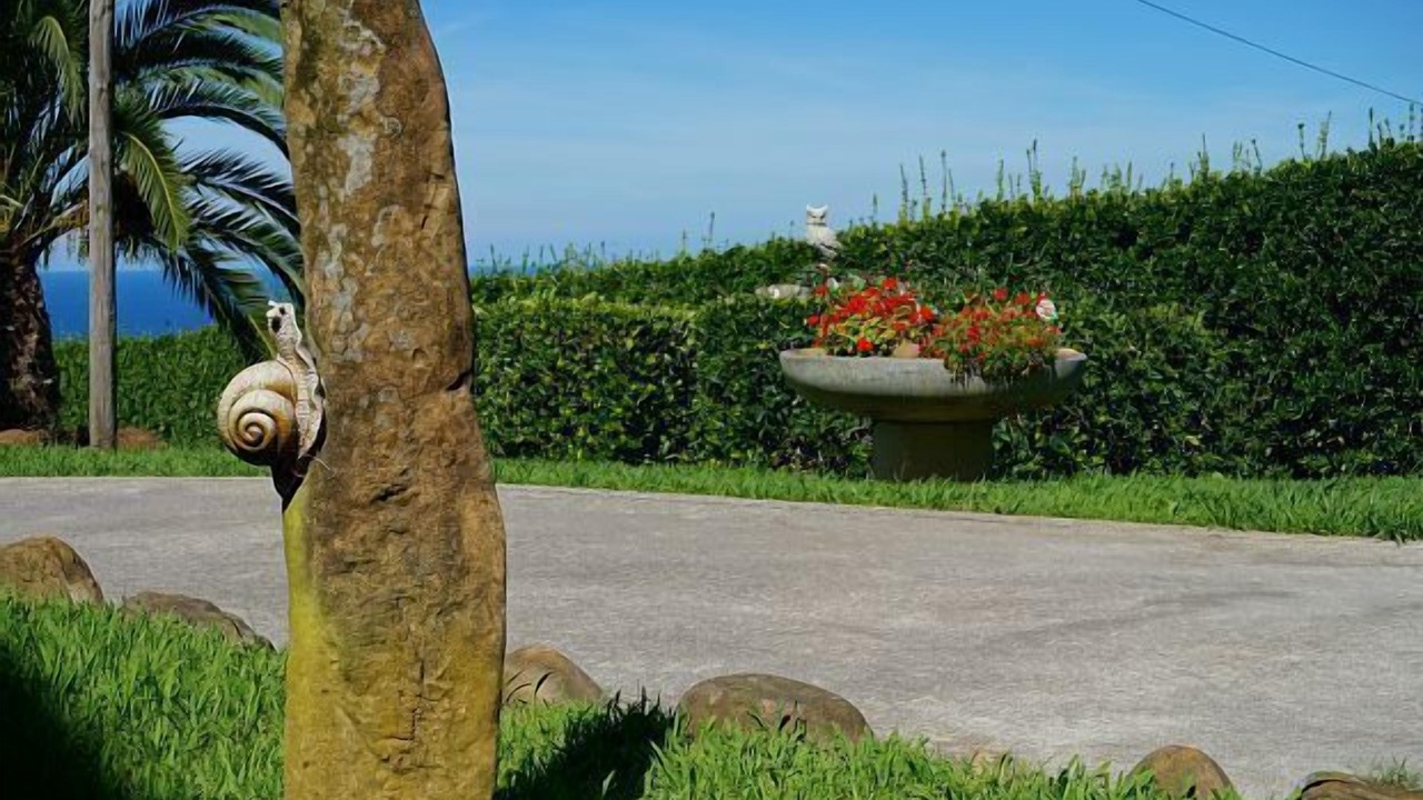 Photo of Outdoor in Getaria
