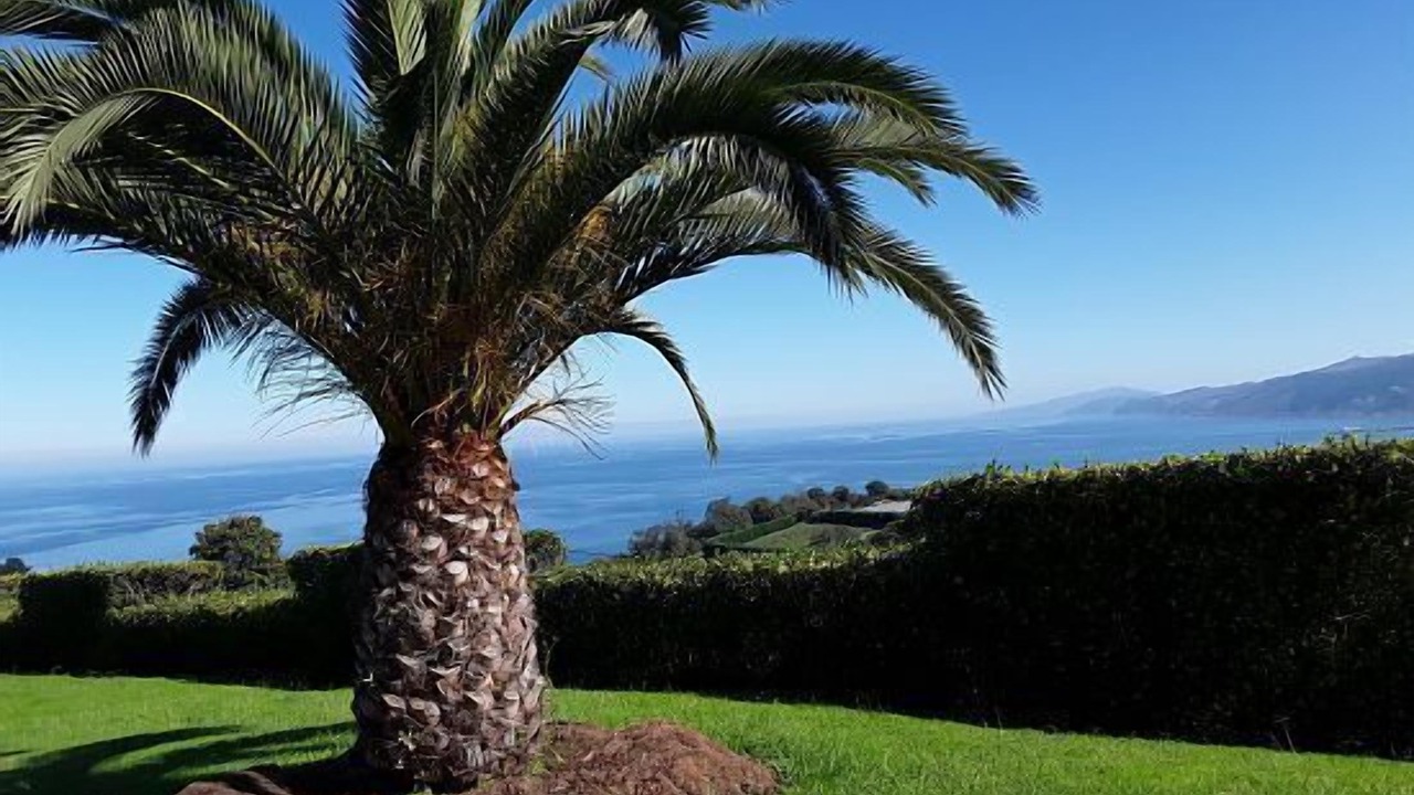 Photo of Outdoor in Getaria