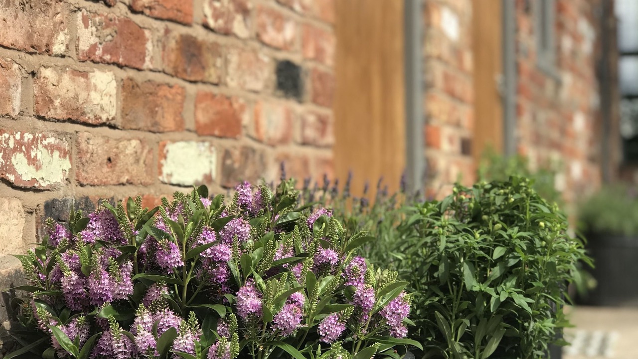 Photo of Outdoor in Wilmslow