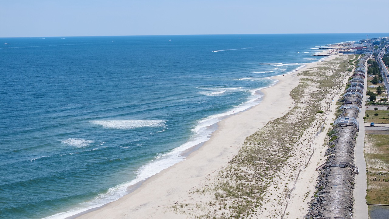 Photo of Others in Sea Bright