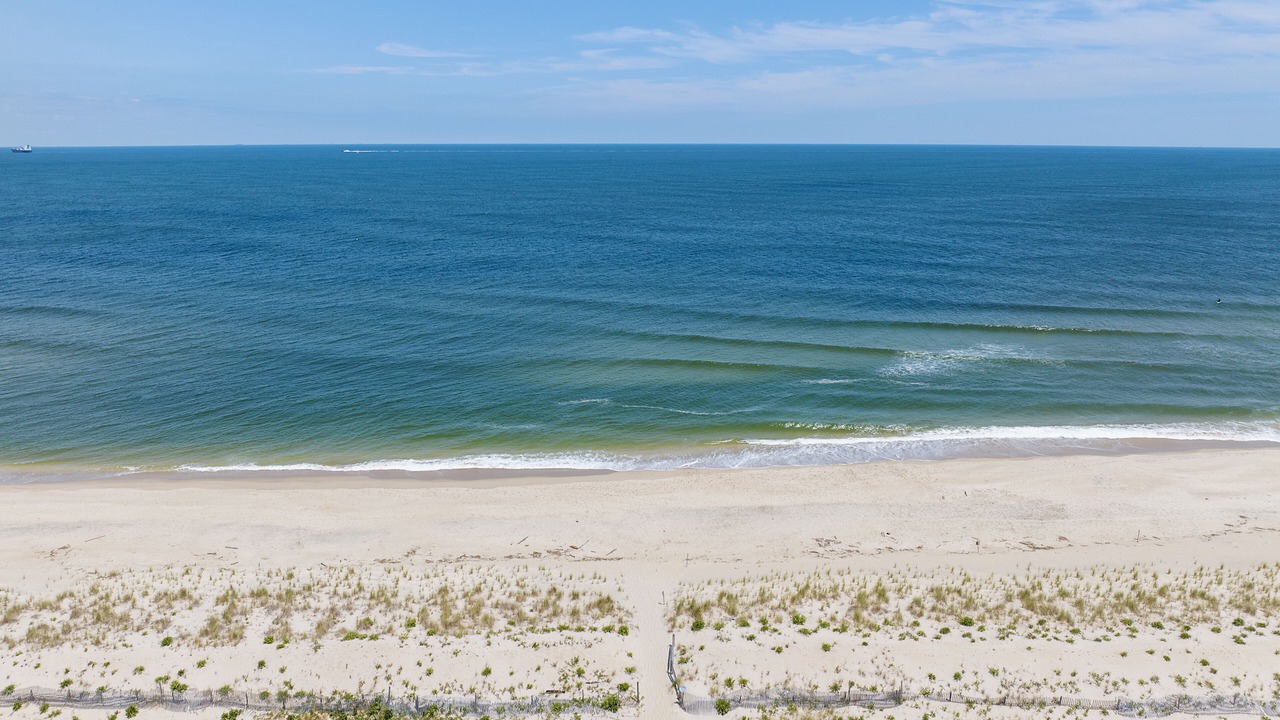 Photo of Others in Sea Bright