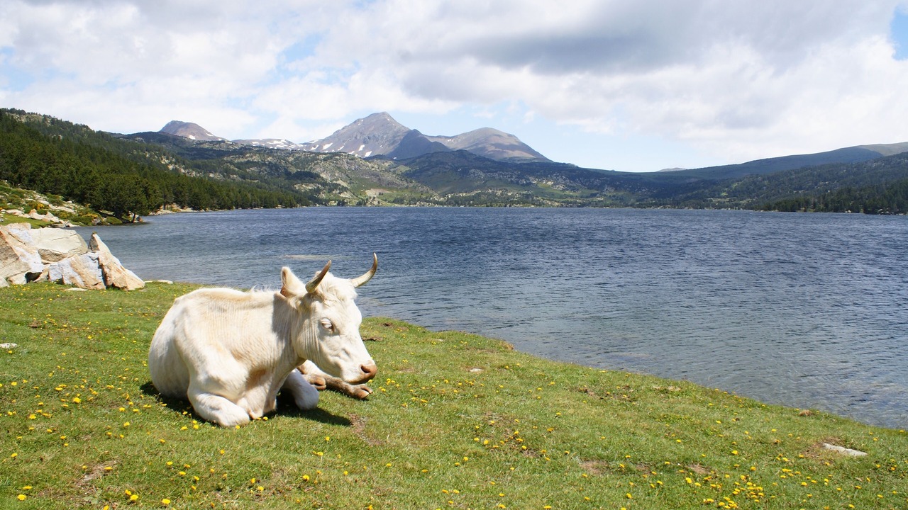 Photo of Outdoor in Bourg-Madame