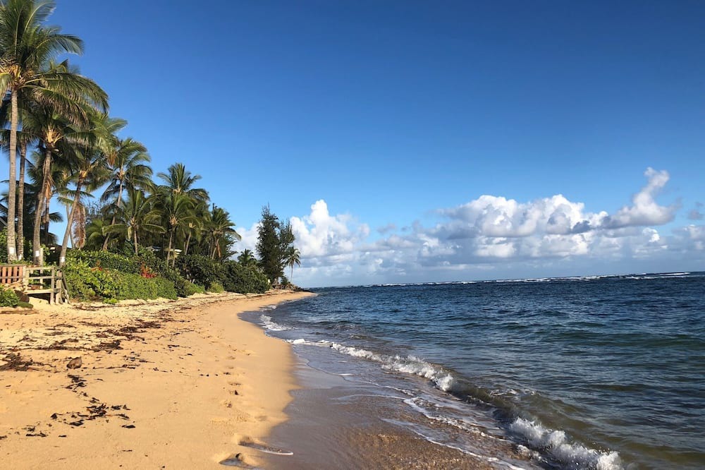Photo of Others in Waialua