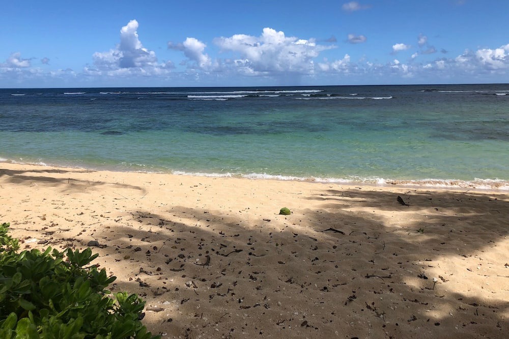 Photo of Others in Waialua