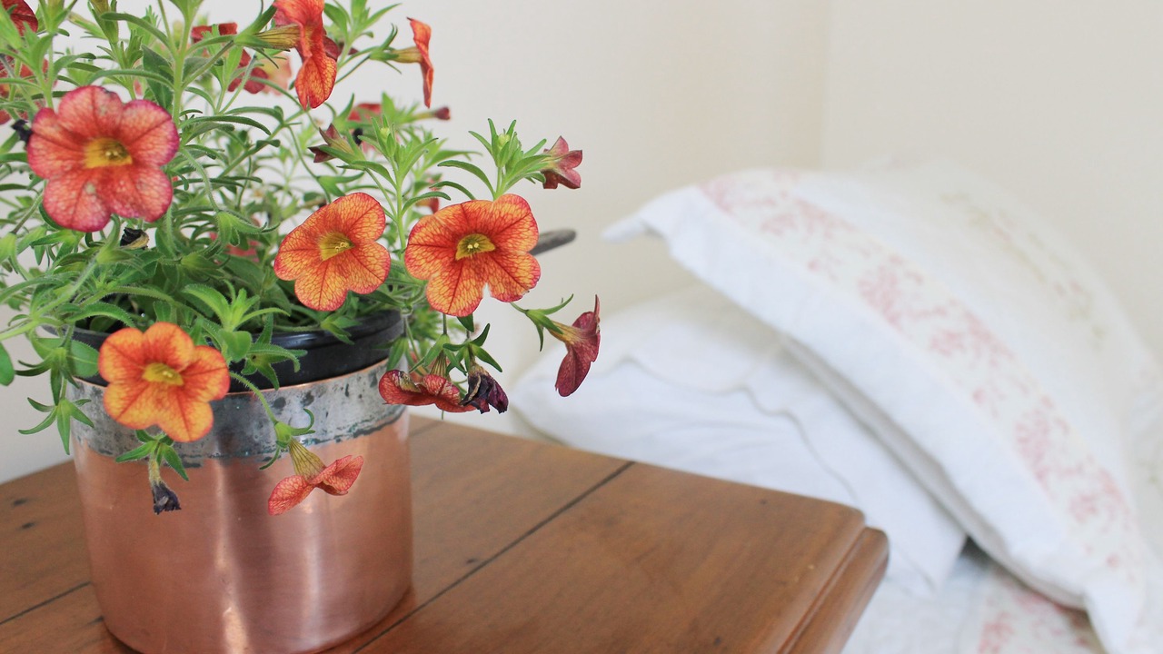 Photo of Others in Kerikeri