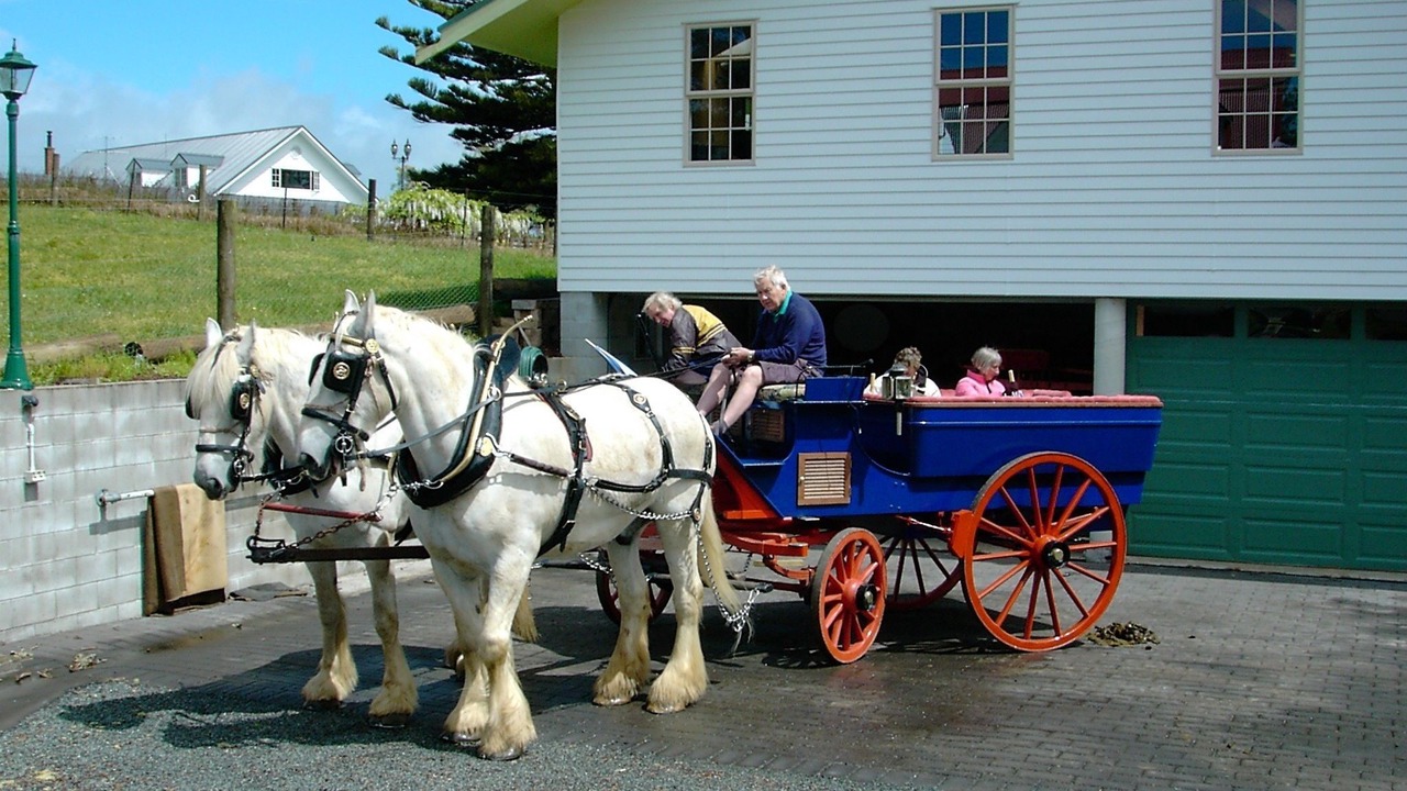 Photo of Outdoor in Kerikeri