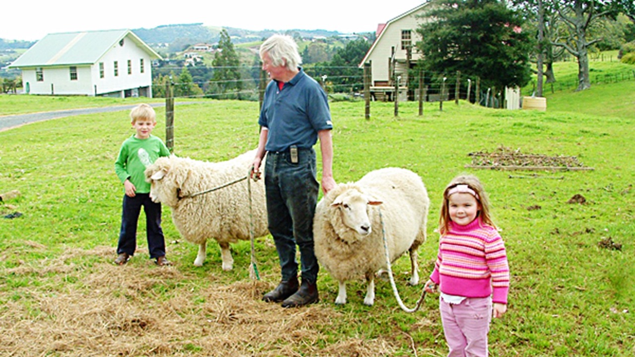 Photo of Outdoor in Kerikeri