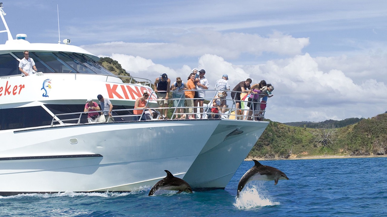 Photo of Others in Kerikeri