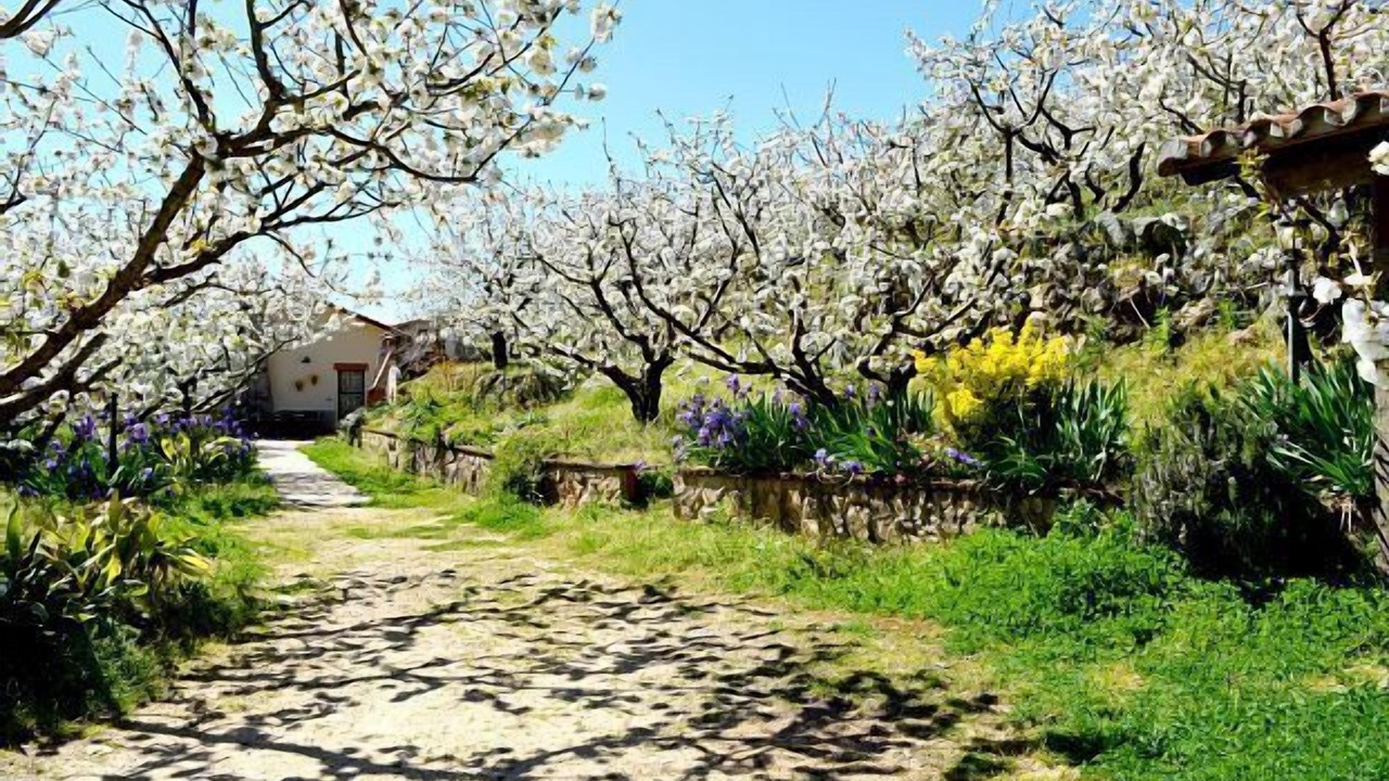 Photo of Outdoor in Navaconcejo