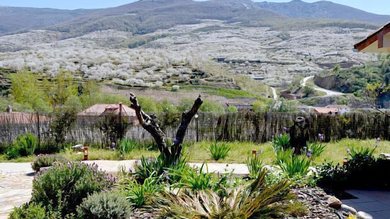 Photo of Outdoor in Navaconcejo