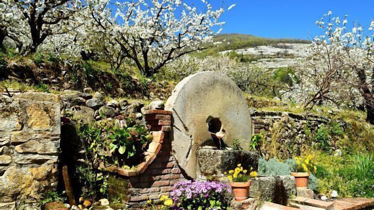 Photo of Outdoor in Navaconcejo