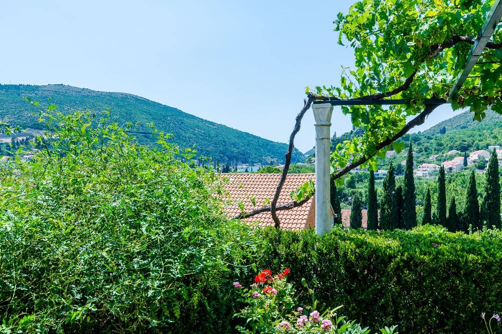 Photo of Outdoor in Komolac