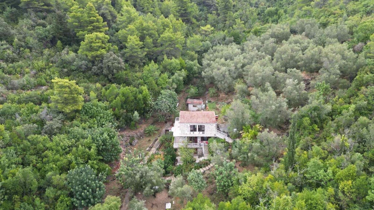 Photo of Outdoor in Sipan Island