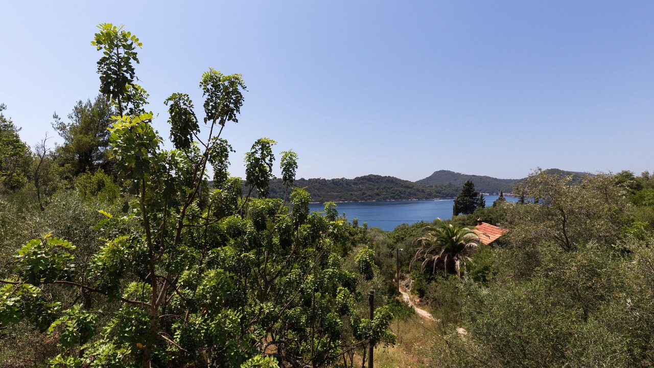 Photo of Outdoor in Sipan Island